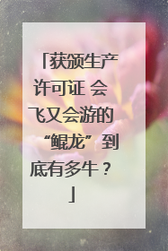 获颁生产许可证 会飞又会游的“鲲龙”到底有多牛？