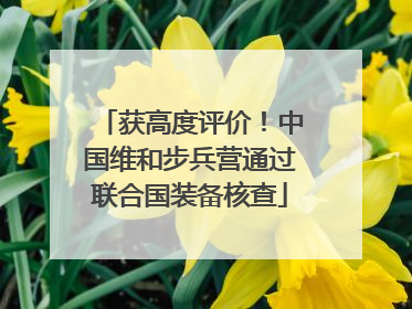 获高度评价！中国维和步兵营通过联合国装备核查
