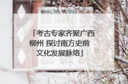 考古专家齐聚广西柳州 探讨南方史前文化发展脉络