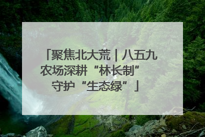 聚焦北大荒｜八五九农场深耕“林长制” 守护“生态绿”