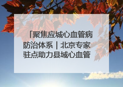 聚焦应城心血管病防治体系｜北京专家驻点助力县域心血管诊疗技术突破