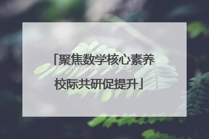 聚焦数学核心素养 校际共研促提升