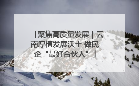 聚焦高质量发展｜云南厚植发展沃土 做民企“最好合伙人”