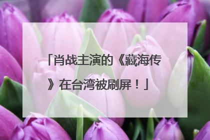 肖战主演的《藏海传》在台湾被刷屏！