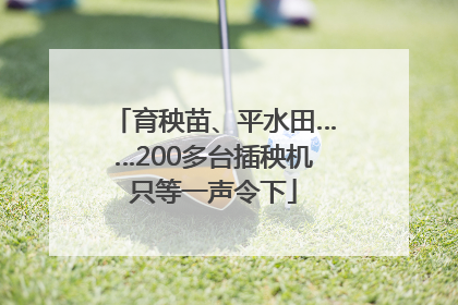 育秧苗、平水田……200多台插秧机只等一声令下