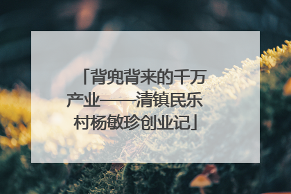 背兜背来的千万产业——清镇民乐村杨敏珍创业记