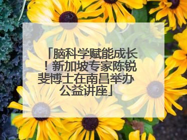 脑科学赋能成长！新加坡专家陈锐斐博士在南昌举办公益讲座