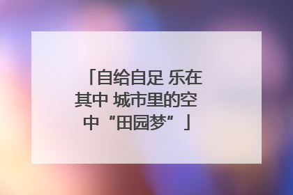 自给自足 乐在其中 城市里的空中“田园梦”