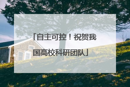 自主可控！祝贺我国高校科研团队