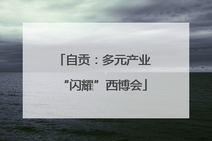 自贡：多元产业“闪耀”西博会