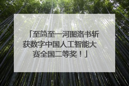 至简至一河图洛书斩获数字中国人工智能大赛全国二等奖！