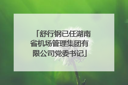 舒行钢已任湖南省机场管理集团有限公司党委书记