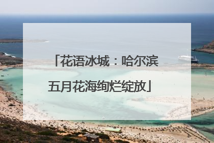 花语冰城：哈尔滨五月花海绚烂绽放