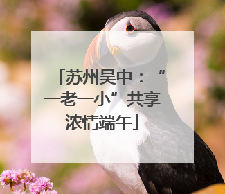 苏州吴中：“一老一小”共享浓情端午