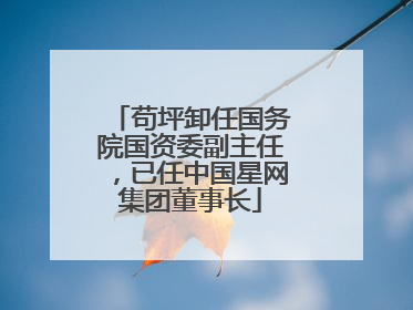 苟坪卸任国务院国资委副主任，已任中国星网集团董事长