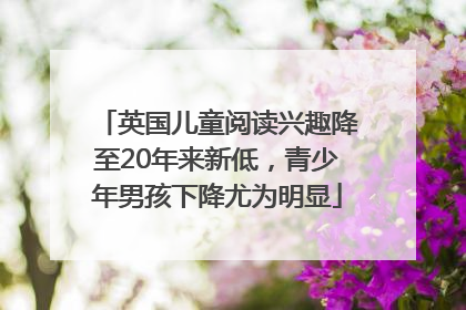 英国儿童阅读兴趣降至20年来新低，青少年男孩下降尤为明显