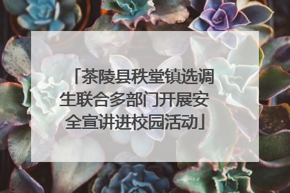 茶陵县秩堂镇选调生联合多部门开展安全宣讲进校园活动
