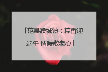 范县濮城镇：粽香迎端午 情暖敬老心