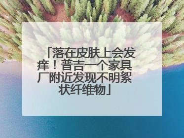 落在皮肤上会发痒！普吉一个家具厂附近发现不明絮状纤维物