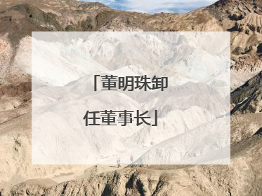 董明珠卸任董事长
