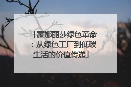 蒙娜丽莎绿色革命：从绿色工厂到低碳生活的价值传递
