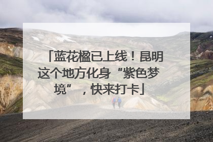 蓝花楹已上线！昆明这个地方化身“紫色梦境”，快来打卡