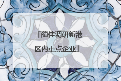 蔺佳调研新港区内重点企业