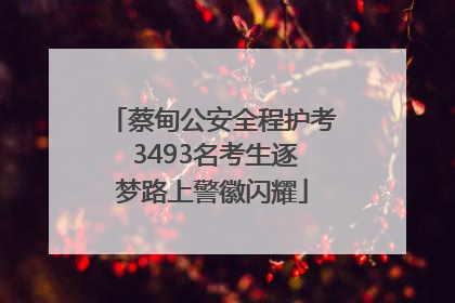 蔡甸公安全程护考 3493名考生逐梦路上警徽闪耀