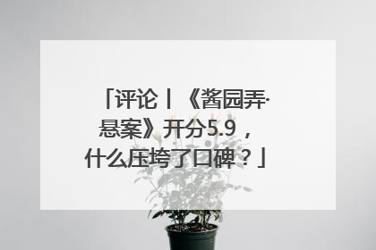 评论丨《酱园弄·悬案》开分5.9，什么压垮了口碑？