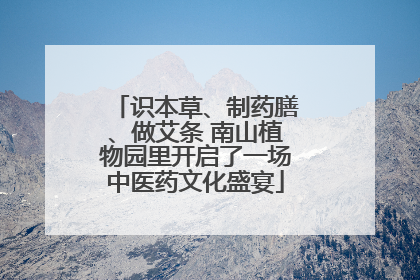 识本草、制药膳、做艾条 南山植物园里开启了一场中医药文化盛宴