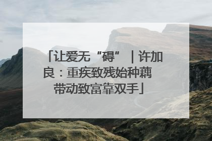 让爱无“碍”｜许加良：重疾致残始种藕 带动致富靠双手