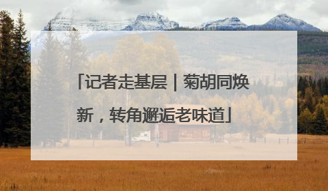 记者走基层｜菊胡同焕新，转角邂逅老味道