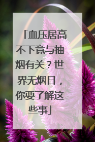血压居高不下竟与抽烟有关？世界无烟日，你要了解这些事