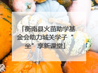 衡南县火苗助学基金会助力城关学子“坐”享新课堂