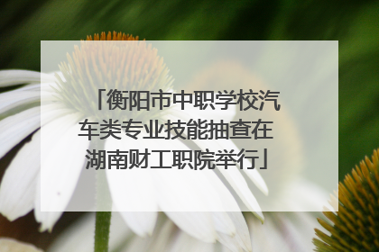 衡阳市中职学校汽车类专业技能抽查在湖南财工职院举行