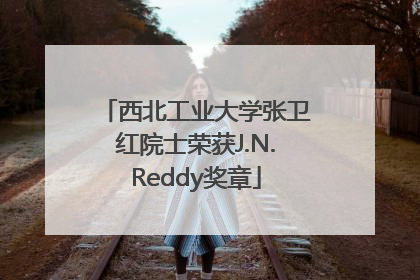 西北工业大学张卫红院士荣获J.N.Reddy奖章