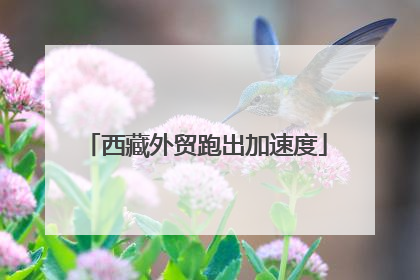 西藏外贸跑出加速度