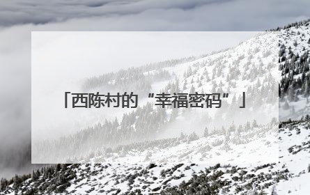 西陈村的“幸福密码”