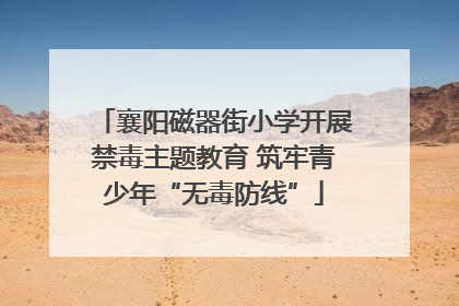 襄阳磁器街小学开展禁毒主题教育 筑牢青少年“无毒防线”