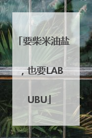 要柴米油盐，也要LABUBU