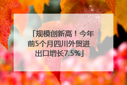规模创新高！今年前5个月四川外贸进出口增长7.5%