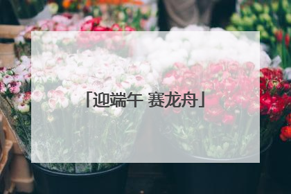 迎端午 赛龙舟