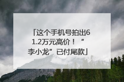 这个手机号拍出61.2万元高价！“李小龙”已付尾款