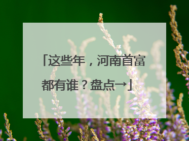 这些年，河南首富都有谁？盘点→