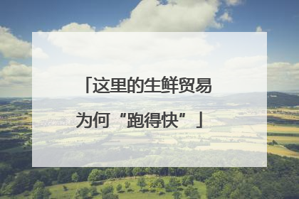这里的生鲜贸易为何“跑得快”