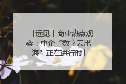 远见丨商业热点观察：中企“数字云出海”正在进行时