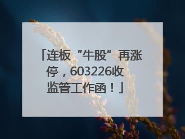 连板“牛股”再涨停，603226收监管工作函！