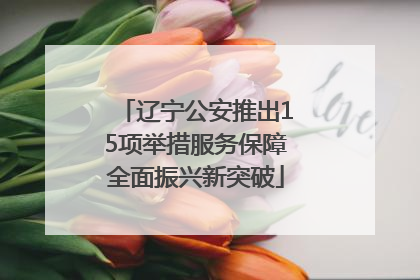 辽宁公安推出15项举措服务保障全面振兴新突破