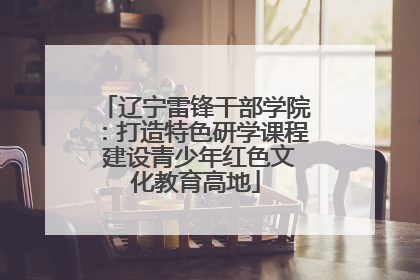 辽宁雷锋干部学院：打造特色研学课程 建设青少年红色文化教育高地