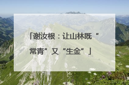 谢汝根：让山林既“常青”又“生金”
